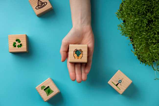 Adopt Environmental Sustainability Practices in Business