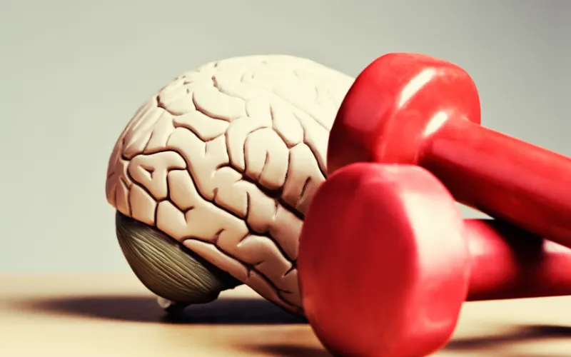 The Mental Faculties – Unlocking the Science of Thought Power